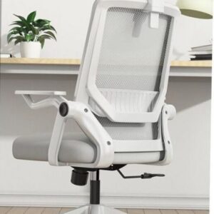 Study Chair